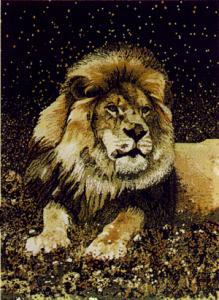 SAFARI-MAJESTIC-LION-1346925597591704_medium.jpg